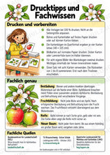 Apfeltheater basteln: Mini-Kamishibai Apfel für Klasse 1/2 | Kamishibai – Materialseite 16