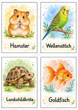 Tiere Bildkarten: 68 Karten DIN A6 | Grundschrift, Wortschatz & Sachunterricht in der Grundschule – Materialseite 3