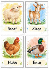 Tiere Bildkarten: 68 Karten DIN A6 | Grundschrift, Wortschatz & Sachunterricht in der Grundschule – Materialseite 5