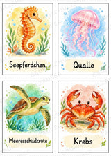 Tiere Bildkarten: 68 Karten DIN A6 | Grundschrift, Wortschatz & Sachunterricht in der Grundschule – Materialseite 15