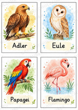 Tiere Bildkarten: 68 Karten DIN A6 | Grundschrift, Wortschatz & Sachunterricht in der Grundschule – Materialseite 16