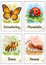 Tiere Bildkarten: 68 Karten DIN A6 | Grundschrift, Wortschatz & Sachunterricht in der Grundschule – Materialseite 17