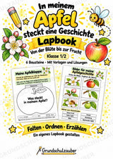 Apfel Lapbook für Klasse 1/2 – Von der Blüte zur Frucht | Kamishibai – Cover