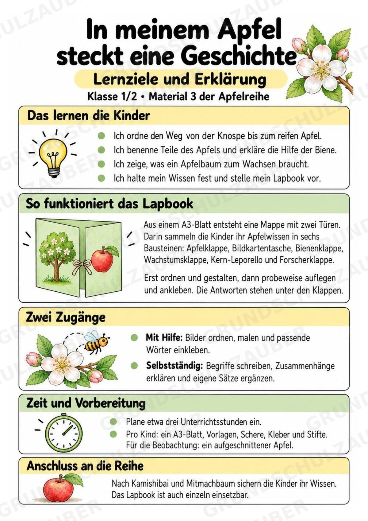 Apfel Lapbook für Klasse 1/2 – Von der Blüte zur Frucht | Kamishibai – Materialseite 2