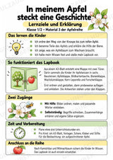 Apfel Lapbook für Klasse 1/2 – Von der Blüte zur Frucht | Kamishibai – Materialseite 2