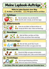 Apfel Lapbook für Klasse 1/2 – Von der Blüte zur Frucht | Kamishibai – Materialseite 4