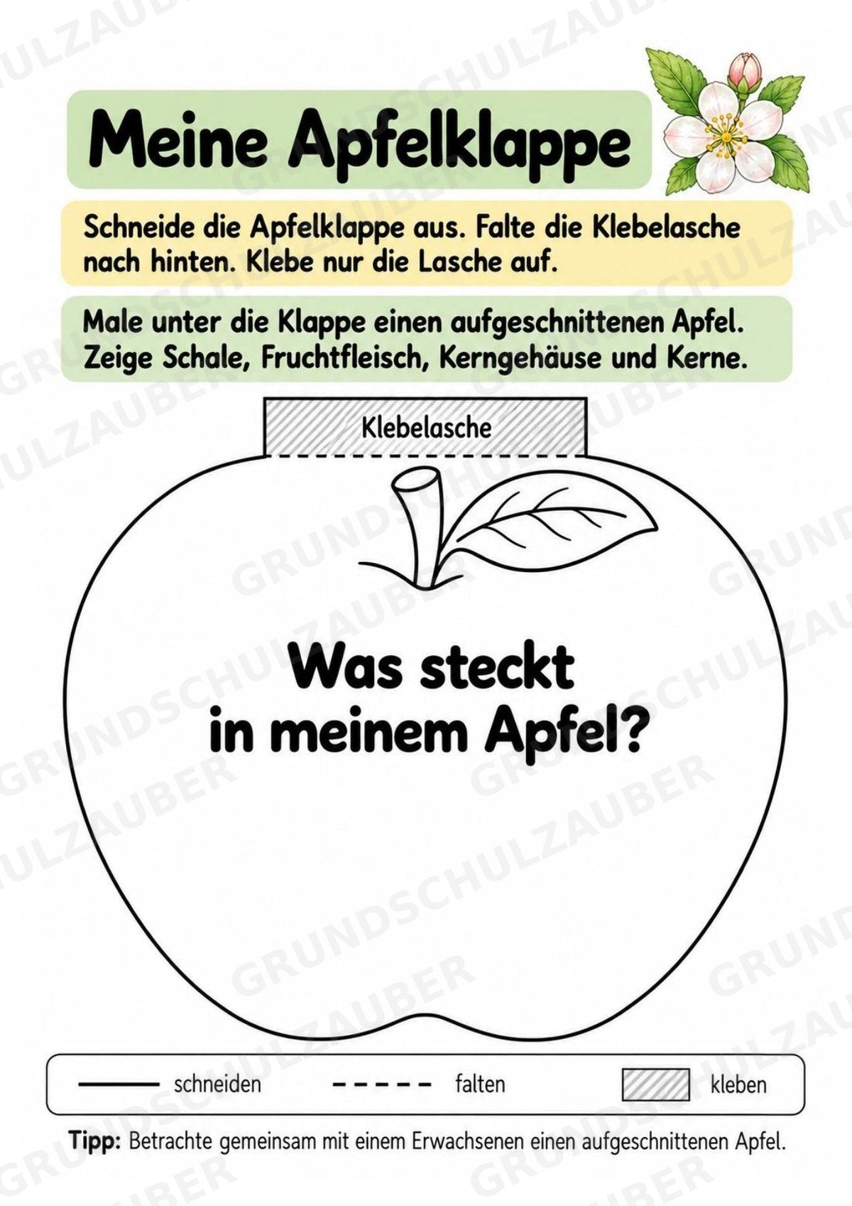 Apfel Lapbook für Klasse 1/2 – Von der Blüte zur Frucht | Kamishibai – Materialseite 5