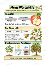Apfel Lapbook für Klasse 1/2 – Von der Blüte zur Frucht | Kamishibai – Materialseite 9