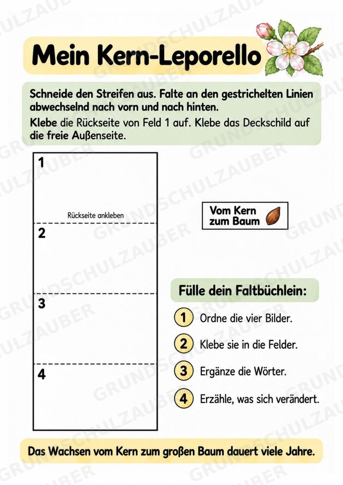 Apfel Lapbook für Klasse 1/2 – Von der Blüte zur Frucht | Kamishibai – Materialseite 10