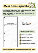Apfel Lapbook für Klasse 1/2 – Von der Blüte zur Frucht | Kamishibai – Materialseite 10