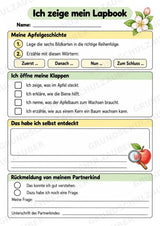 Apfel Lapbook für Klasse 1/2 – Von der Blüte zur Frucht | Kamishibai – Materialseite 12
