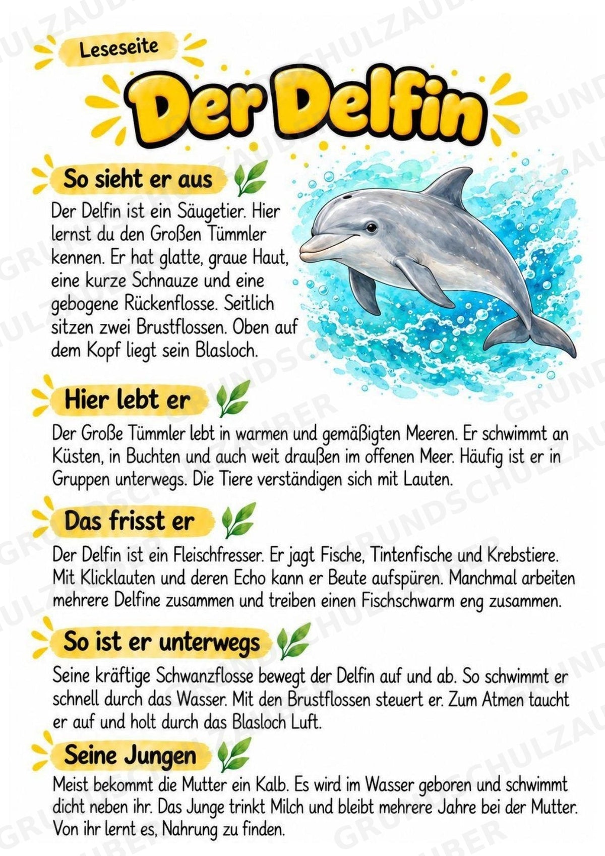 Delfin - Lesetext & Steckbrief | Sachunterricht Tiere Grundschule – Materialseite 2