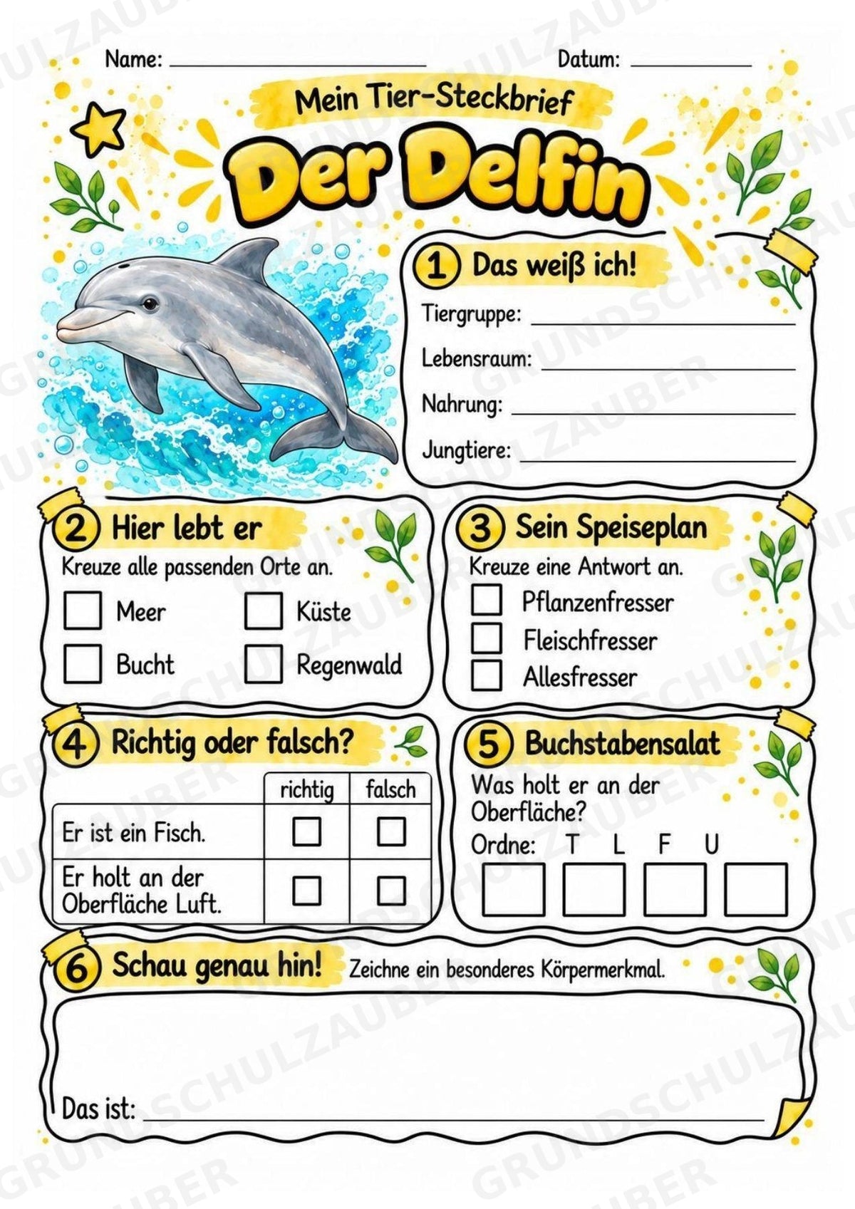 Delfin - Lesetext & Steckbrief | Sachunterricht Tiere Grundschule – Materialseite 3