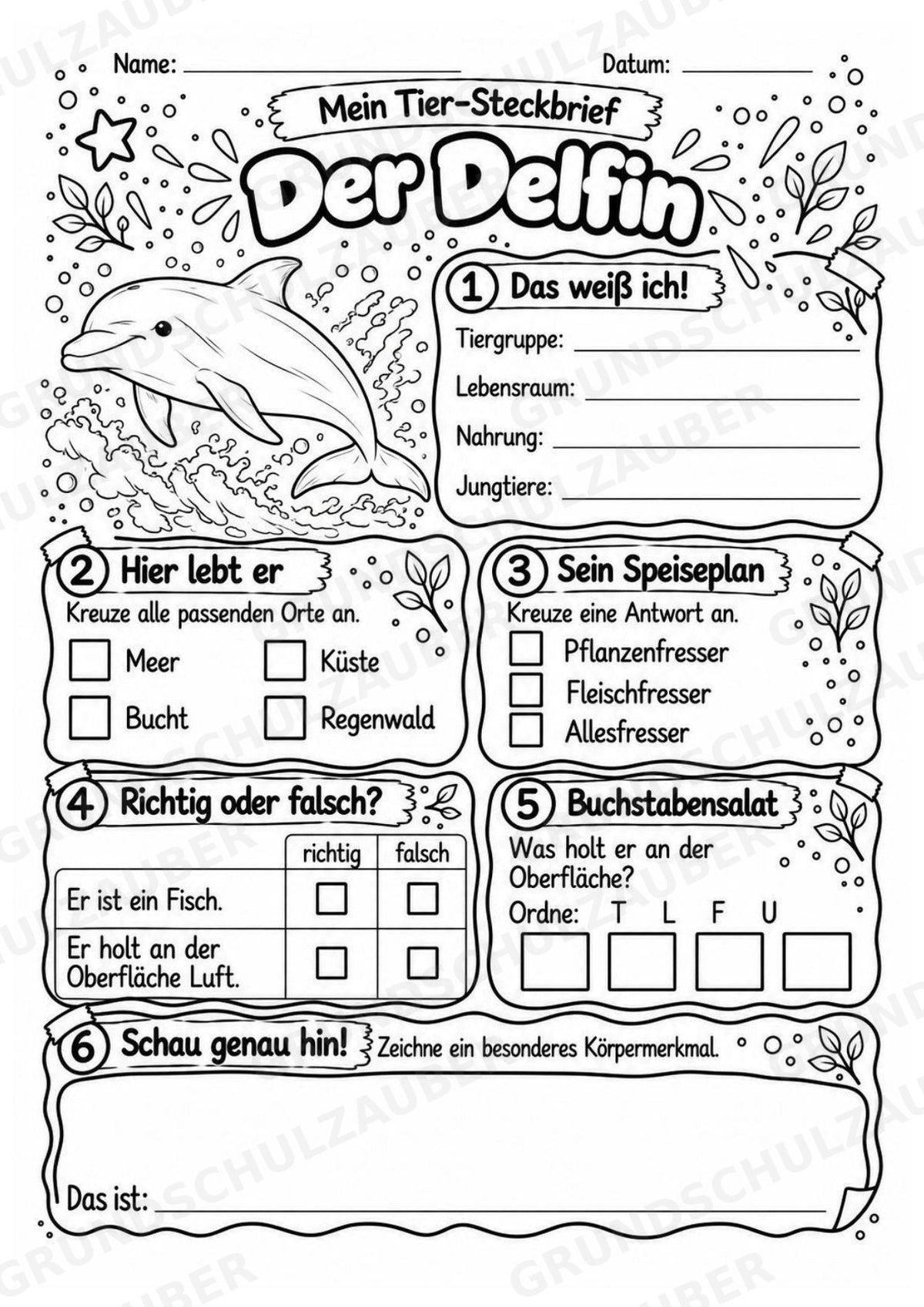 Delfin - Lesetext & Steckbrief | Sachunterricht Tiere Grundschule – Materialseite 4