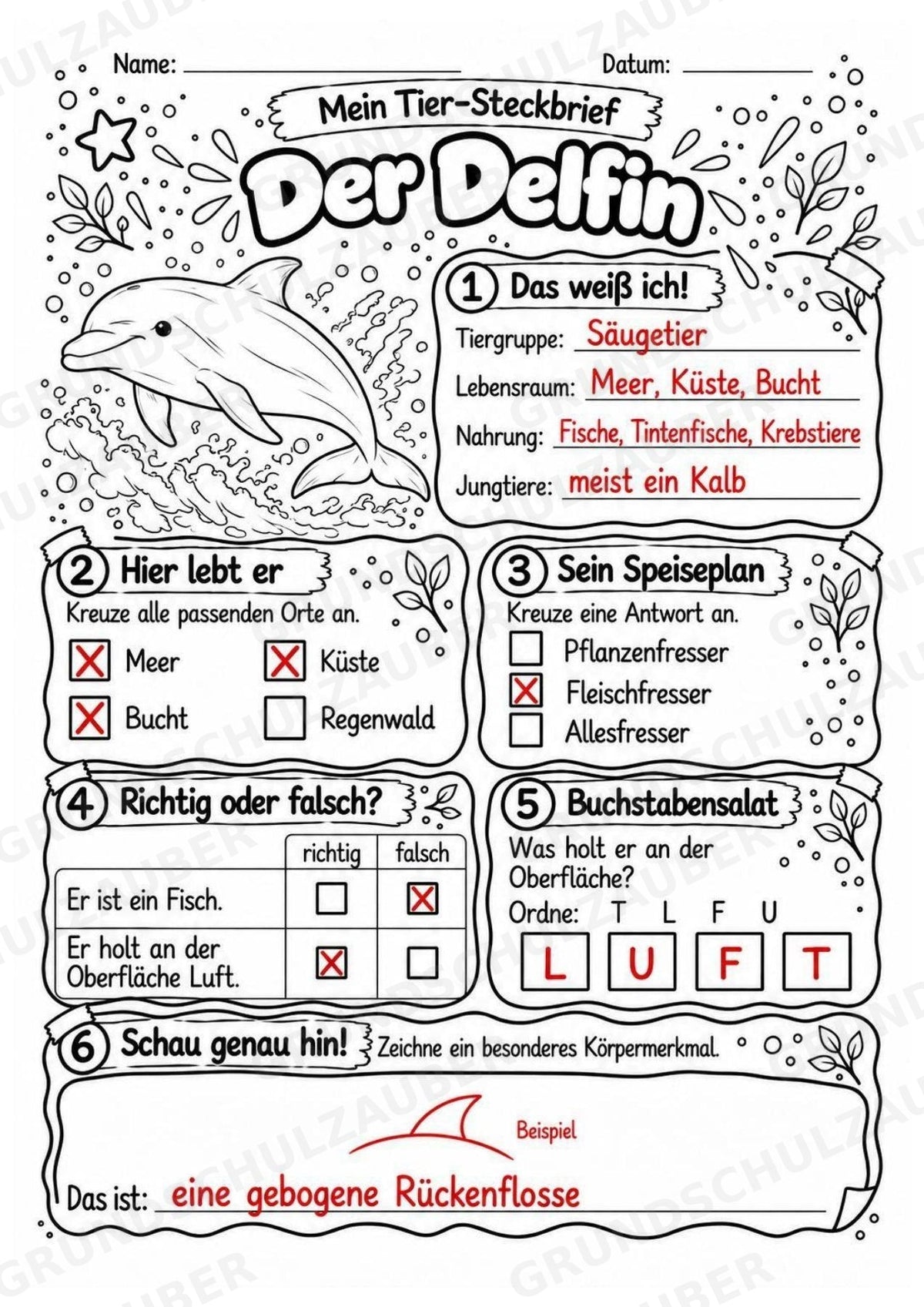 Delfin - Lesetext & Steckbrief | Sachunterricht Tiere Grundschule – Materialseite 5