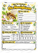 Honigbiene - Lesetext & Steckbrief | Sachunterricht Tiere Grundschule – Materialseite 3