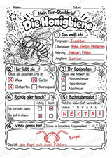 Honigbiene - Lesetext & Steckbrief | Sachunterricht Tiere Grundschule – Materialseite 5