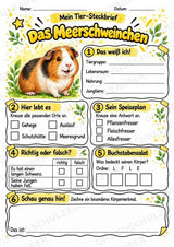Meerschweinchen - Lesetext & Steckbrief | Sachunterricht Tiere Grundschule – Materialseite 3