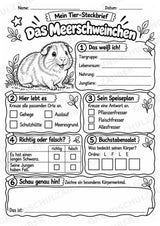 Meerschweinchen - Lesetext & Steckbrief | Sachunterricht Tiere Grundschule – Materialseite 4