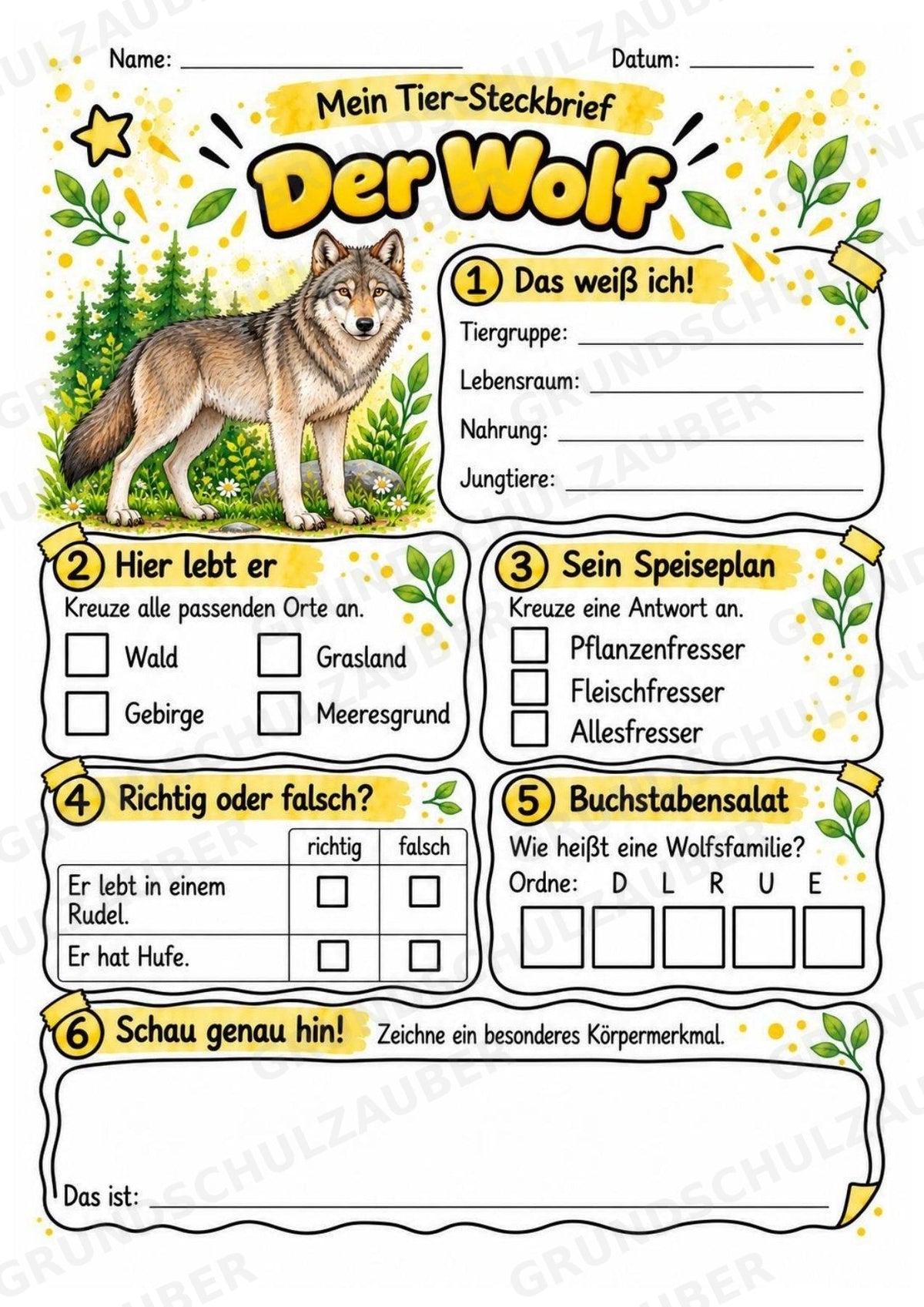 Wolf - Lesetext & Steckbrief | Sachunterricht Tiere Grundschule – Materialseite 3