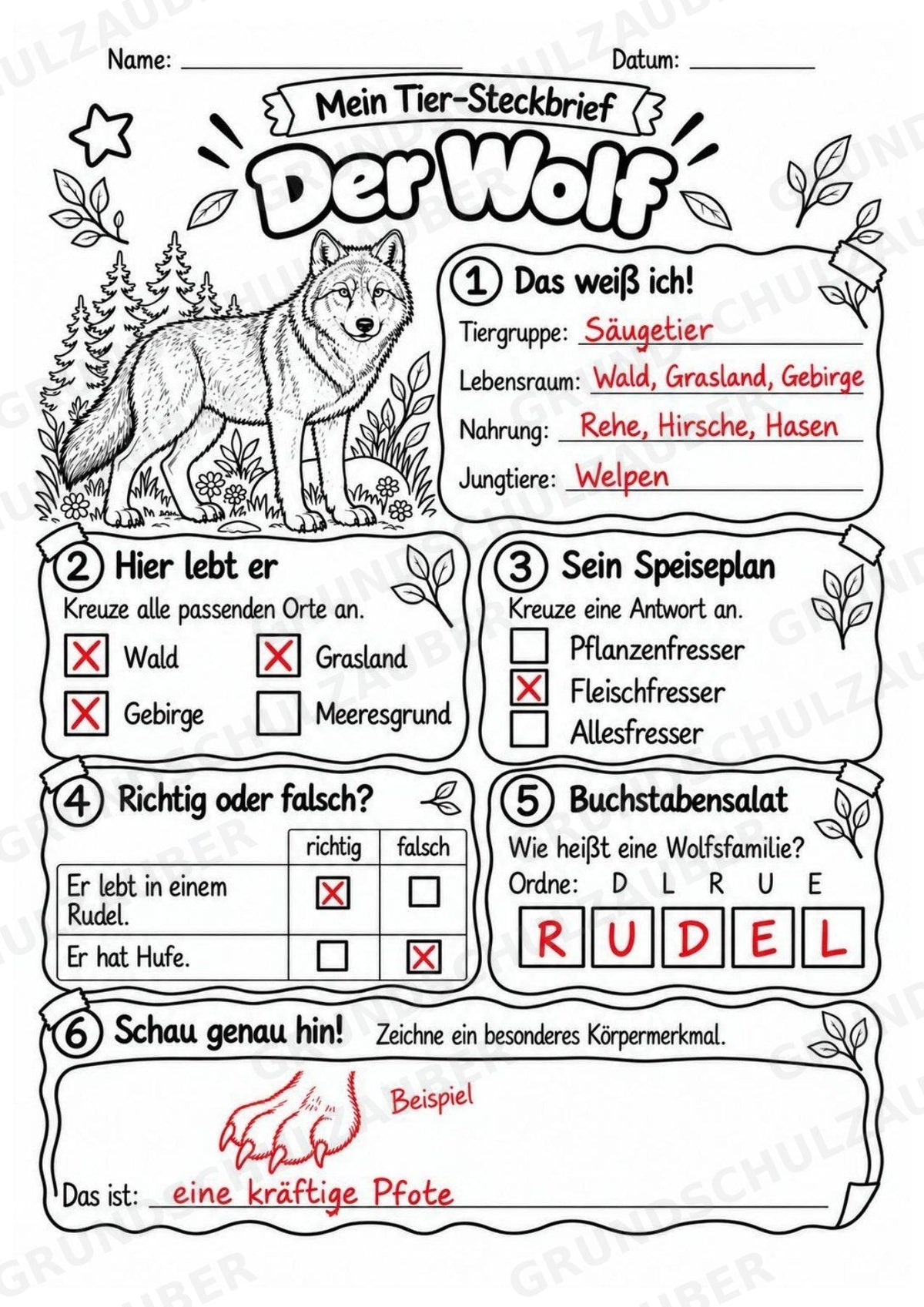 Wolf - Lesetext & Steckbrief | Sachunterricht Tiere Grundschule – Materialseite 5