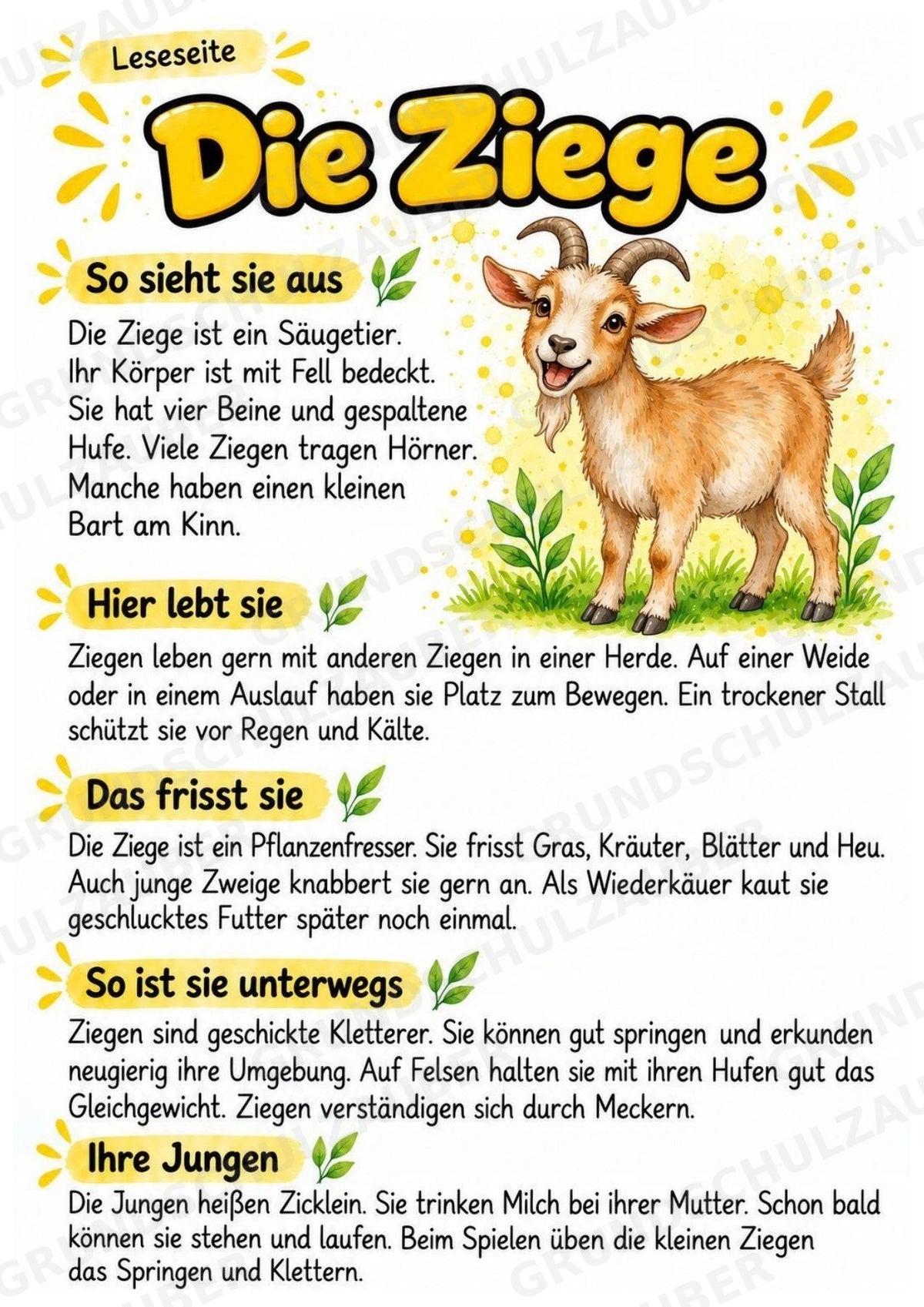 Ziege - Lesetext & Steckbrief | Sachunterricht Tiere Grundschule – Materialseite 2