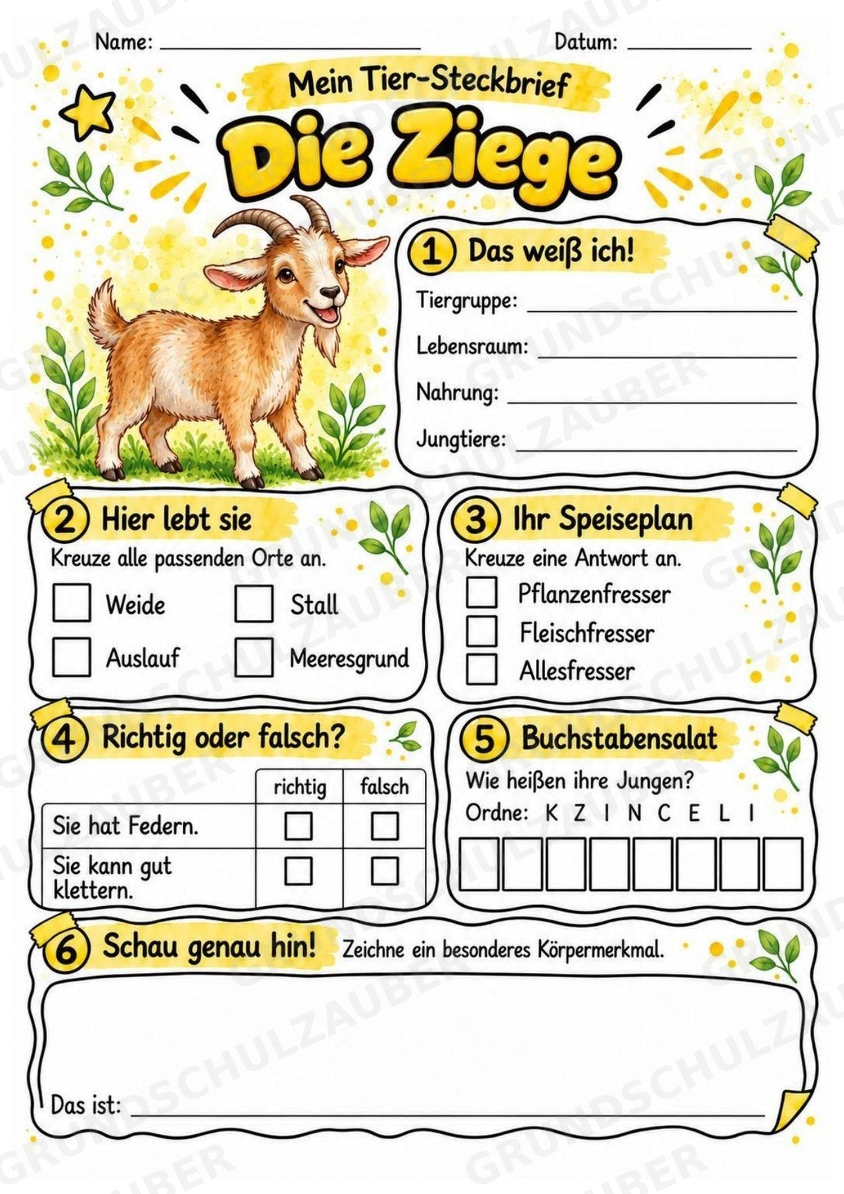 Ziege - Lesetext & Steckbrief | Sachunterricht Tiere Grundschule – Materialseite 3