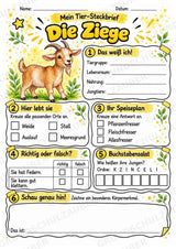 Ziege - Lesetext & Steckbrief | Sachunterricht Tiere Grundschule – Materialseite 3