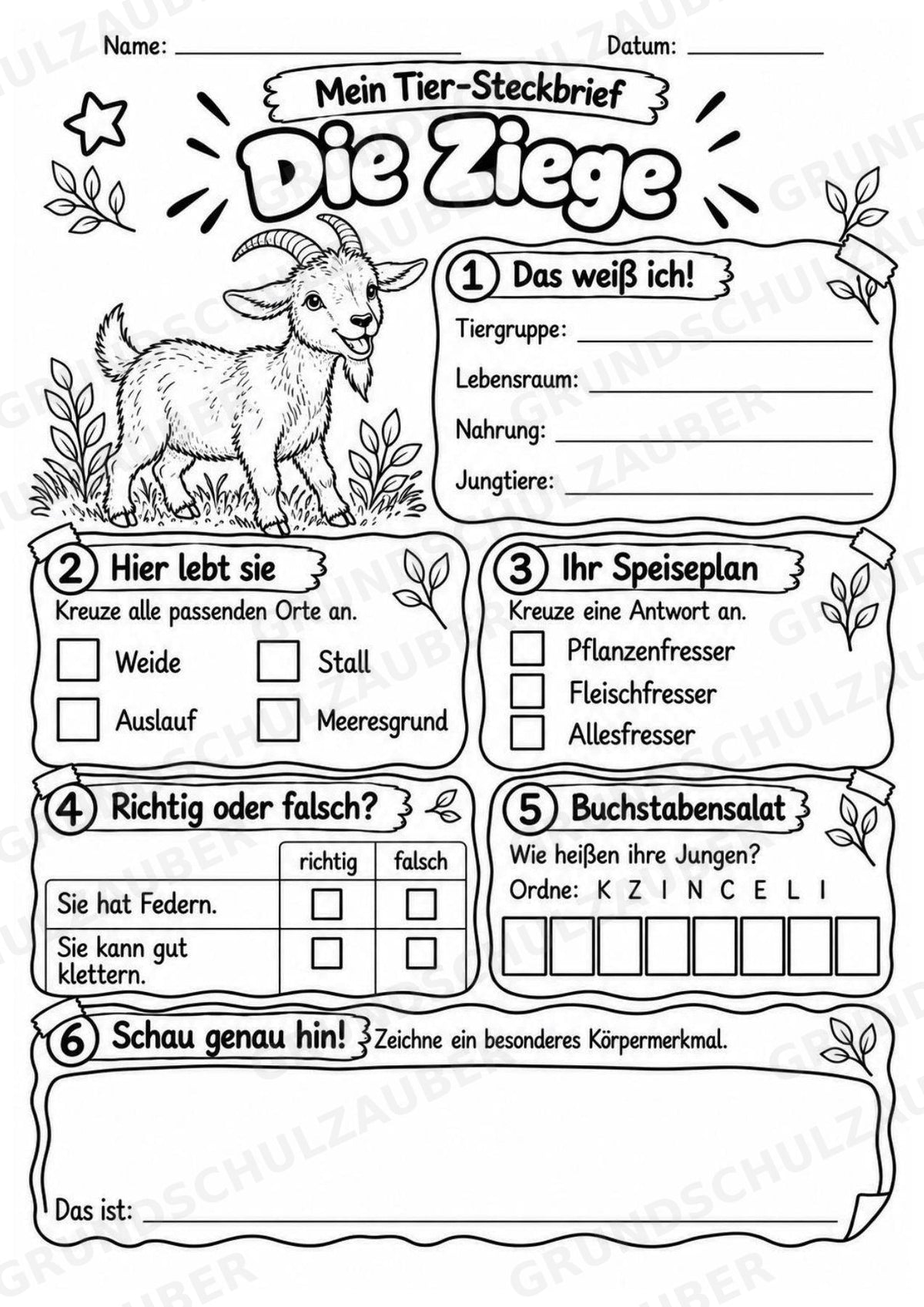 Ziege - Lesetext & Steckbrief | Sachunterricht Tiere Grundschule – Materialseite 4