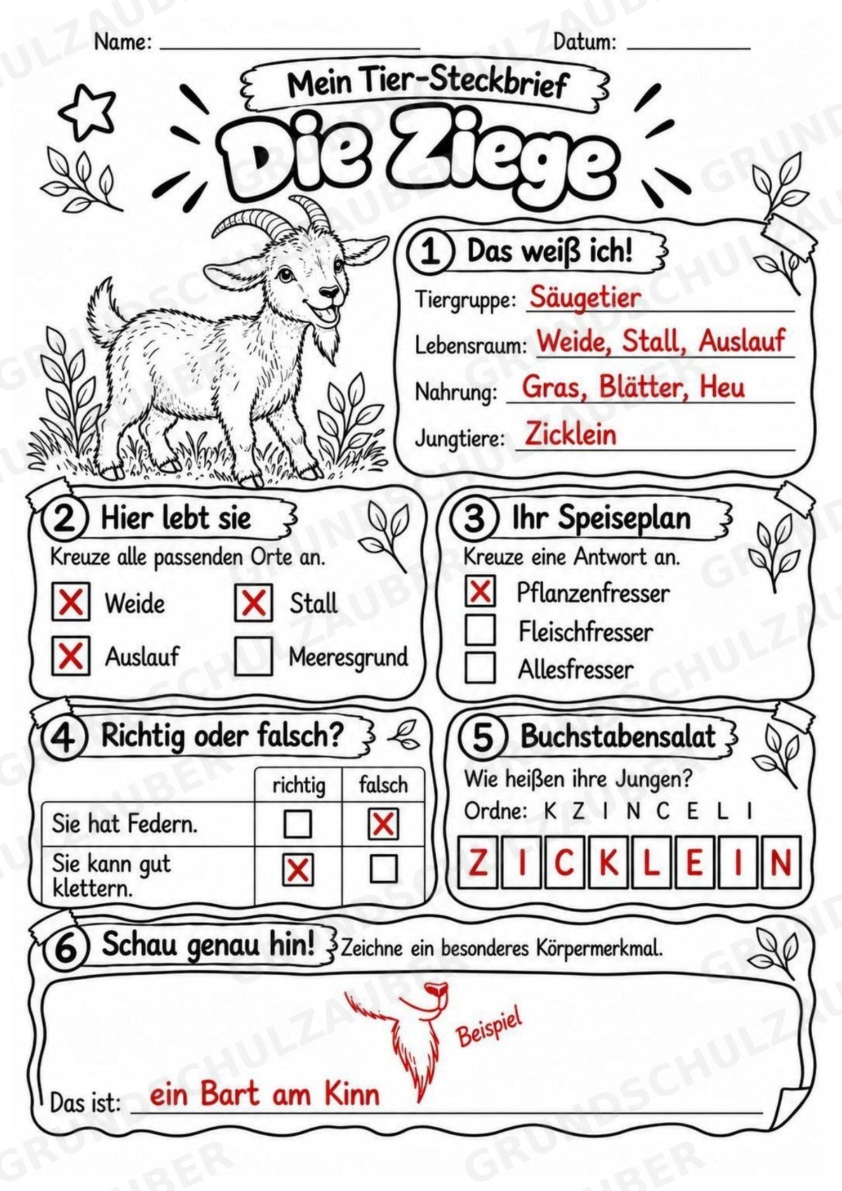 Ziege - Lesetext & Steckbrief | Sachunterricht Tiere Grundschule – Materialseite 5
