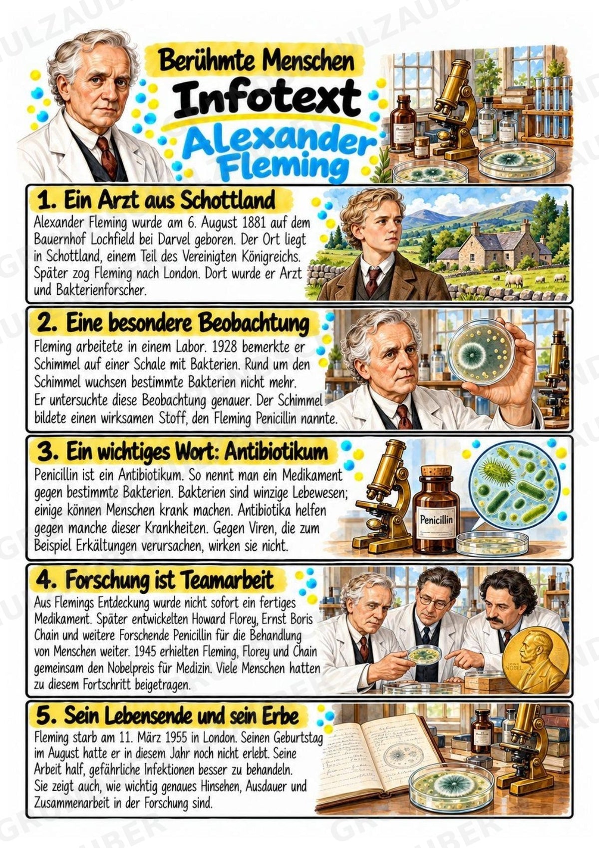 Alexander Fleming – Steckbrief & Infotext für die Grundschule | Berühmte Persönlichkeiten | Sachunterricht – Materialseite 2