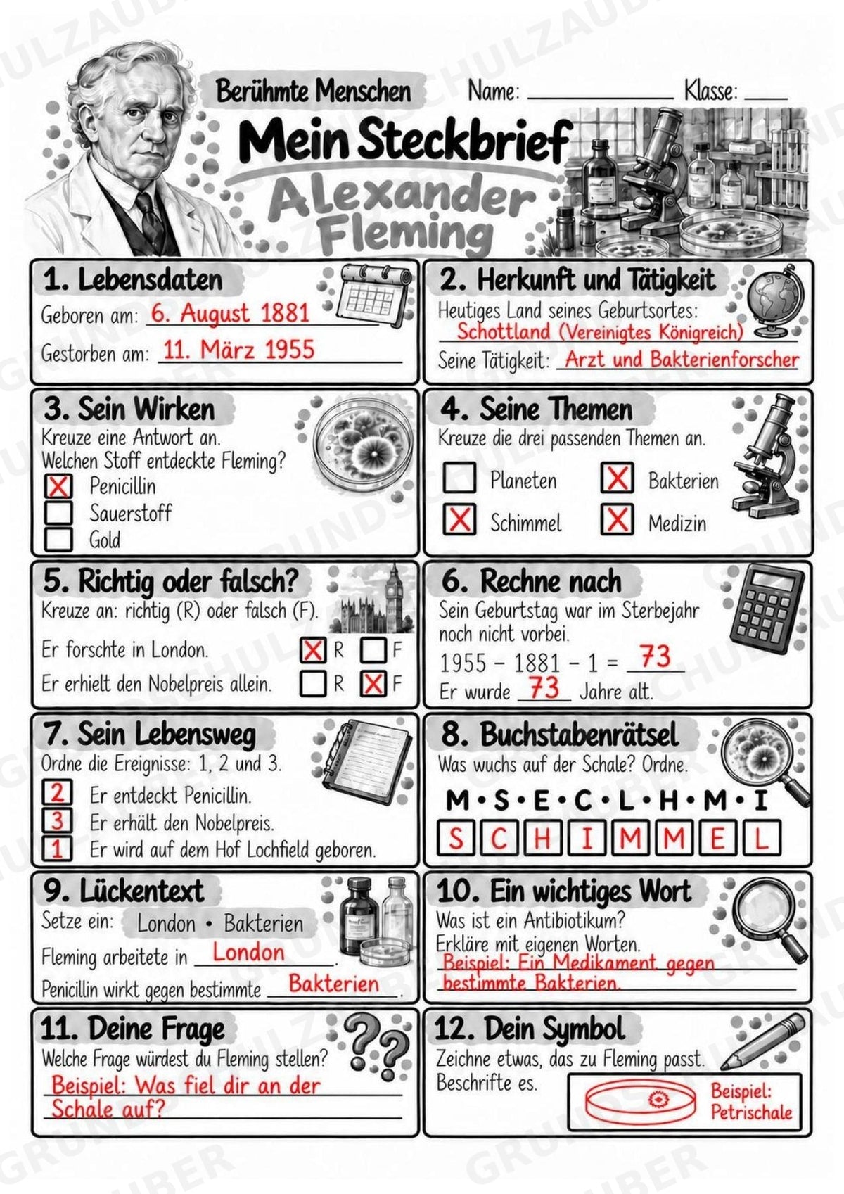 Alexander Fleming – Steckbrief & Infotext für die Grundschule | Berühmte Persönlichkeiten | Sachunterricht – Materialseite 5