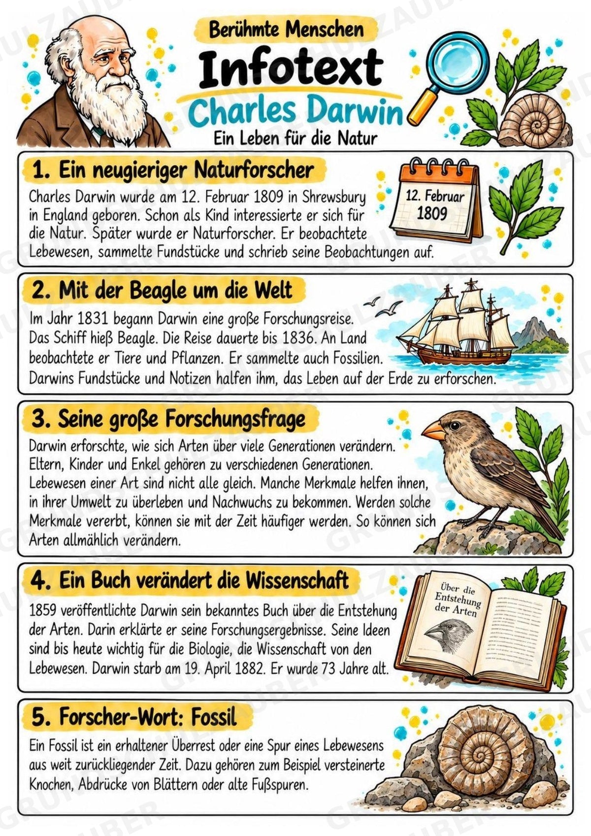 Charles Darwin – Steckbrief & Infotext für die Grundschule | Berühmte Persönlichkeiten | Sachunterricht – Materialseite 2