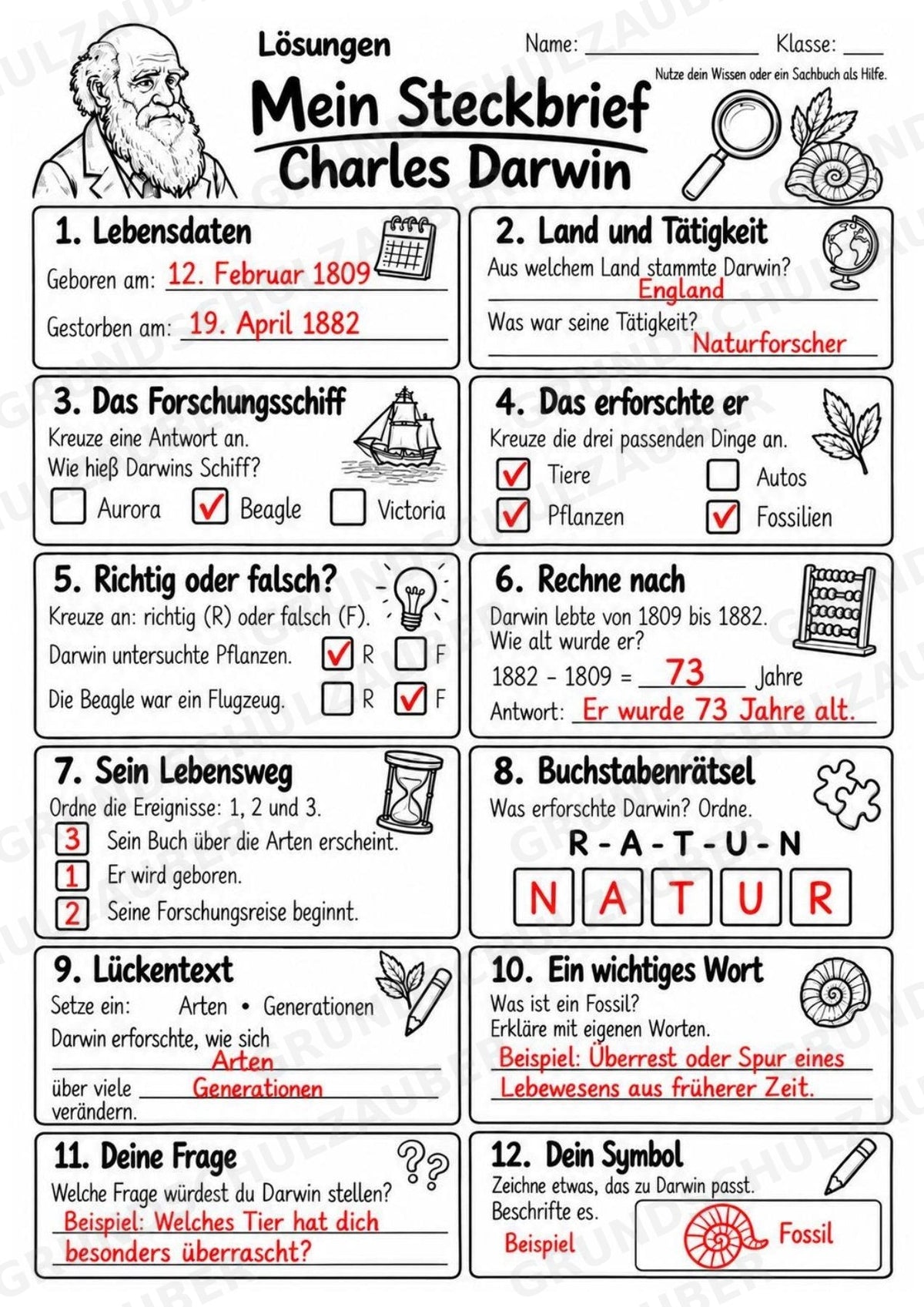 Charles Darwin – Steckbrief & Infotext für die Grundschule | Berühmte Persönlichkeiten | Sachunterricht – Materialseite 5