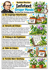 Gregor Mendel – Steckbrief & Infotext für die Grundschule | Berühmte Persönlichkeiten | Sachunterricht – Materialseite 2