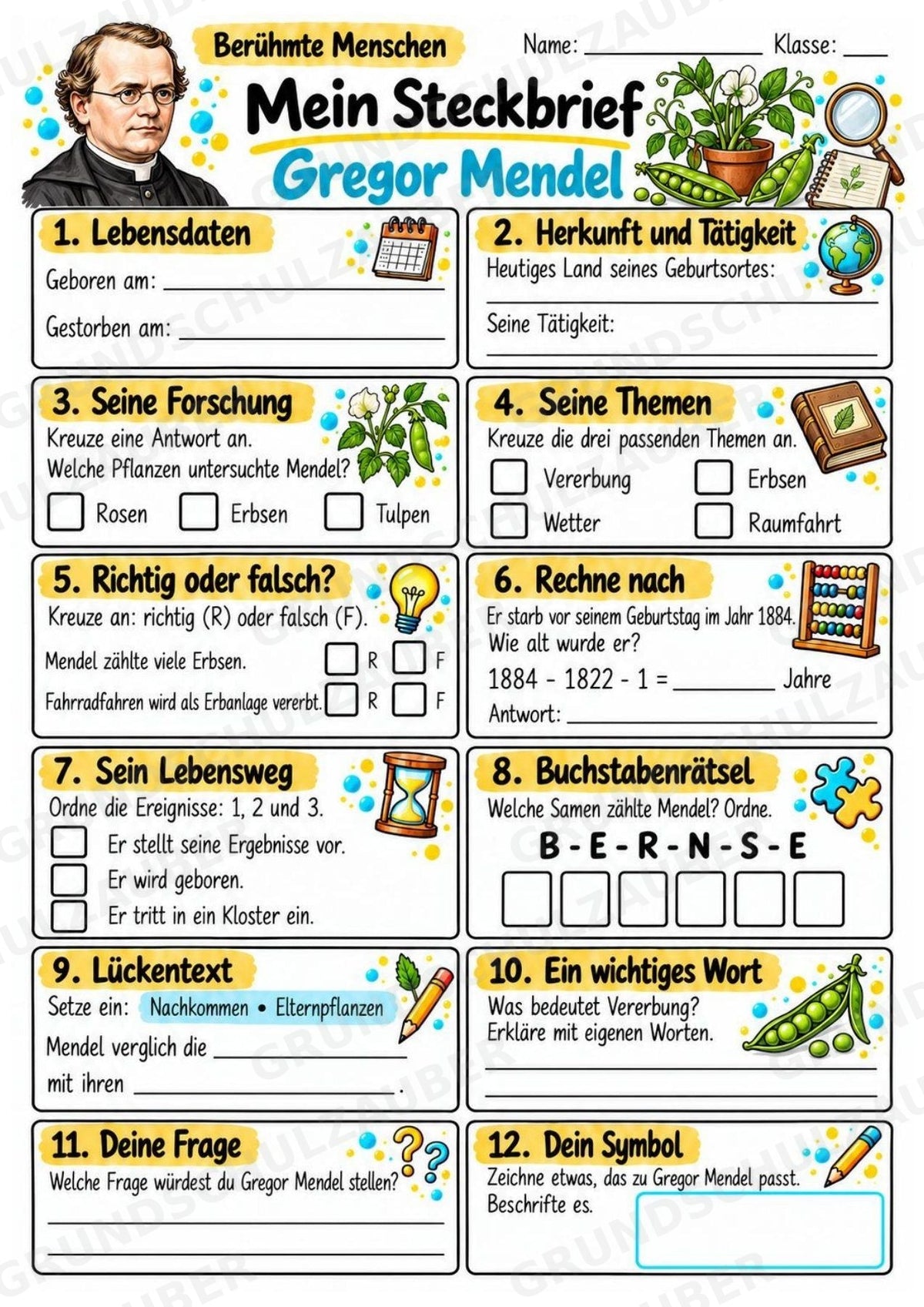 Gregor Mendel – Steckbrief & Infotext für die Grundschule | Berühmte Persönlichkeiten | Sachunterricht – Materialseite 3