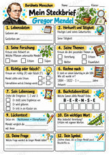 Gregor Mendel – Steckbrief & Infotext für die Grundschule | Berühmte Persönlichkeiten | Sachunterricht – Materialseite 3