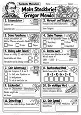 Gregor Mendel – Steckbrief & Infotext für die Grundschule | Berühmte Persönlichkeiten | Sachunterricht – Materialseite 4