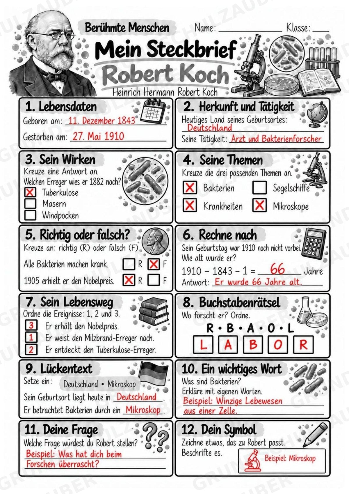 Robert Koch – Steckbrief & Infotext für die Grundschule | Berühmte Persönlichkeiten | Sachunterricht – Materialseite 5